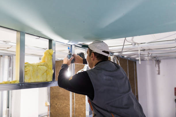 Best Geographic-Specific Insulation Services in Frazeysburg, OH